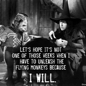 Meet your Posher, Todd